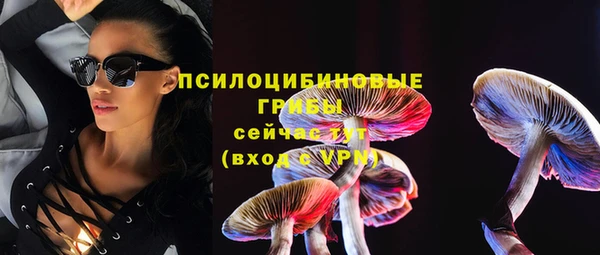 тгк Бронницы