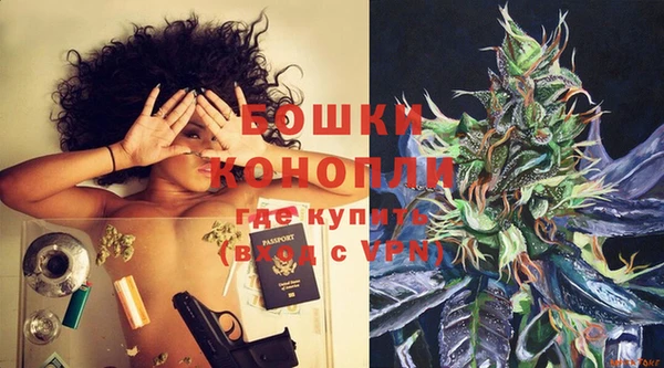 тгк Бронницы