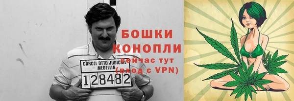 дживик Бородино