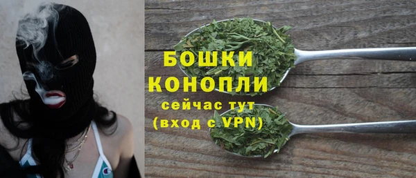 тгк Бронницы