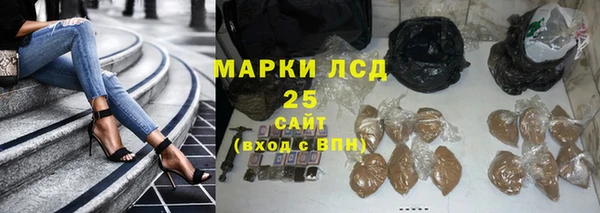 дживик Бородино