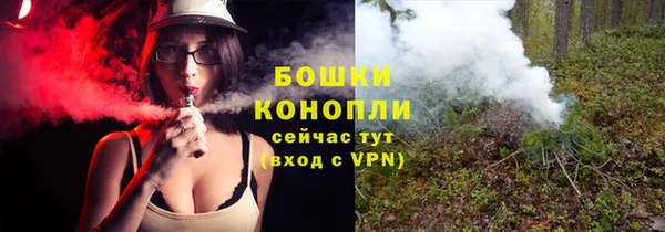 дживик Бородино