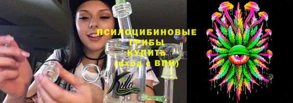 тгк Бронницы