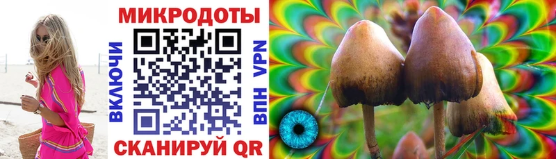 Купить где  Киселёвск  Псилоцибиновые грибы MAGIC MUSHROOMS 
